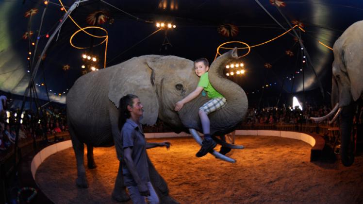 Einmal auf einem Elefanten reiten – dieser Wunsch ging am Samstag für viele Kinder in Erfüllung. Fotos: Lisa Kleinpeter 