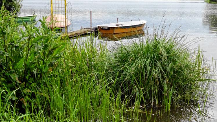 Der Einsatz von Elektromotoren  am Vietlübber See bleibt zum Ärger der Einheimischen verboten. Foto: Volker Bohlmann