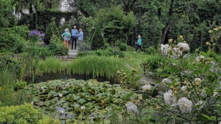 Blick ins kleine  Paradies: Klaus und Gisela Sokolowski leben in Neuhof gleich hinter dem Schloss. Foto: kahe