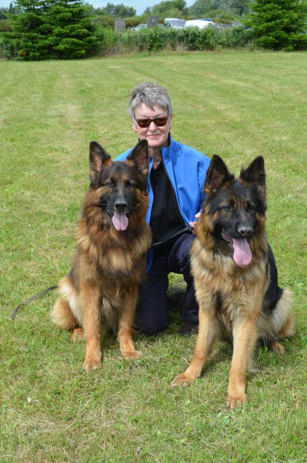 Stolze Hundebesitzerin: Ingelore Steinrich hat mit ihren zwei Schätzen Rico (links) und Aragon an der Schau teilgenommen. Foto: Julia Ulbrich