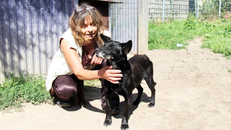 Abgemagert bis auf die Knochen: Annette Herbing kümmert  sich um  Fundhund Dobby Foto: mxhe 