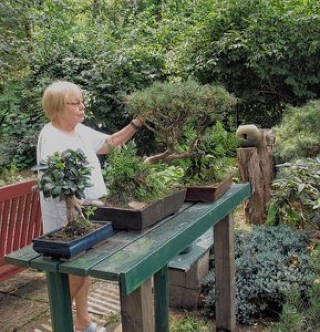 Das Paradies im japanischen Stil SVZ