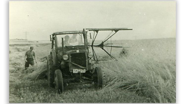 Mit einem Traktor "Pionier" und Mähbinder bei der Roggenmahd um 1960Archiv/Wolfgang Meyer