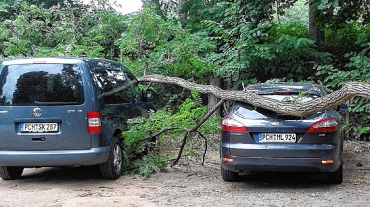 Volltreffer: Während Sabrina Constantin und Maik   Malenke  die  Fußball-D-Jugend trainierten, fiel ein Baum auf ihre abgestellten Autos. Den Schaden sollen sie selbst zahlen.  Foto: privat