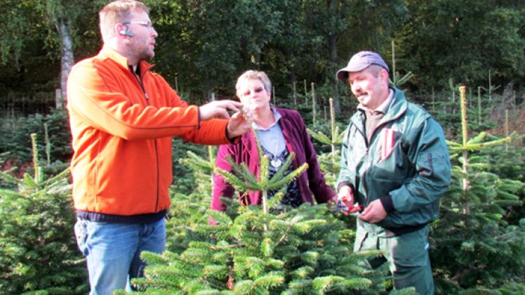 Arbeitsplatz in der Weihnachtsbaumplantage: Hans-Peter Meitzner (r.), Robert Köpnick und Simone Hoppert-Arndt bem