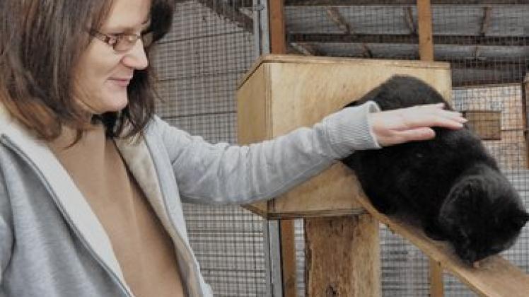 Schön, schwarz - und scheu: Simone Scholz in der Tierauffangstation Wittenberge geht davon aus, dass Kater Pino keine so guten Erfahrungen mit Menschen gemacht hat,  Zuwendung und Zeit braucht, um wieder Vertrauen zu fassen.  Birgit Hamann (2)