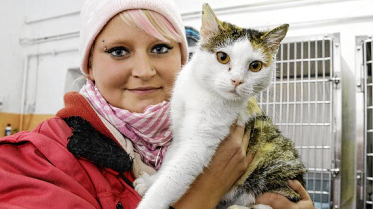 Tierpflegerin Eileen Goliath mit "Tabea", eine dreifarbige Katze die vor einer Woche bei Schönwolde gefunden wurde und ein Zuhause sucht.volker bohlmann
