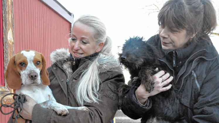 Cornelia Grothe aus Groß Lüben (l.) mit dem Beagle-Rüden Scotty (zwei Jahre, vier Monate) und Cornelia Kober aus Havelberg mit dem Schnauzermischlings-Welpen Lapo (vier Monate). Lapo wurde aus einer  ungarischen Tötungsanlage gerettet. Die beiden lieben Vierbeiner  suchen Familienanschluss. Birgit Hamann
