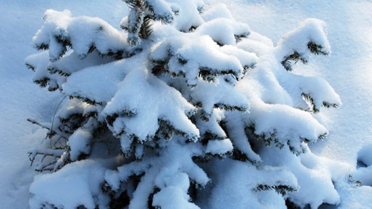 In guter Erinnerung: Weihnachten 2010 hat es ordentlich geschneit.W.  Pätzold