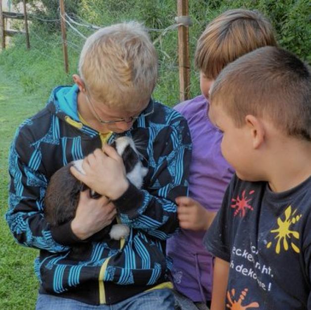 Tiere zum Anfassen: Marcel, Emilie und Fabian (v.l.n.r.) schauen regelmäßig nach den Kaninchen. Tiere zum Anfassen: Marcel, Emilie und Fabian (v.l.n.r.) schauen regelmäßig nach den Kaninchen.