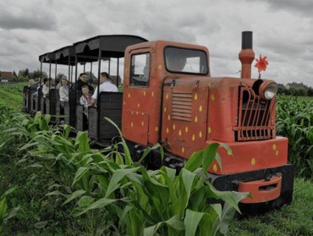 Mit der Feldbahn werden die Besucher zum Ausgangspunkt gebracht. Mit der Feldbahn werden die Besucher zum Ausgangspunkt gebracht.