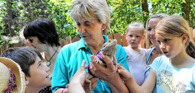 Die Tierschau ist einer der Höhepunkte beim Kinderfest im Rostocker  Zoo und lockt regelmäßig  zahlreiche Besucher an.  Zoo Rostock