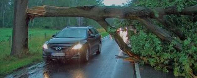 Umgestürzte Bäume blockieren die Fahrbahnen in der gesamten Region.