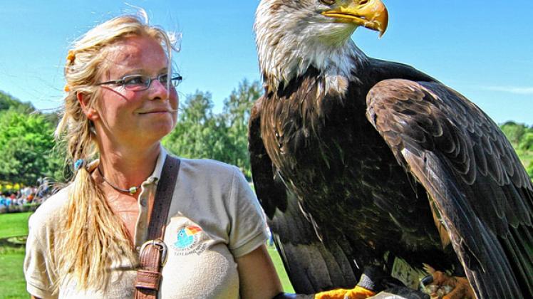 Marlow: Pflegerin Yvonne Legetth  mit  Weißkopfadler Hillary Vogelpark Marlow 
