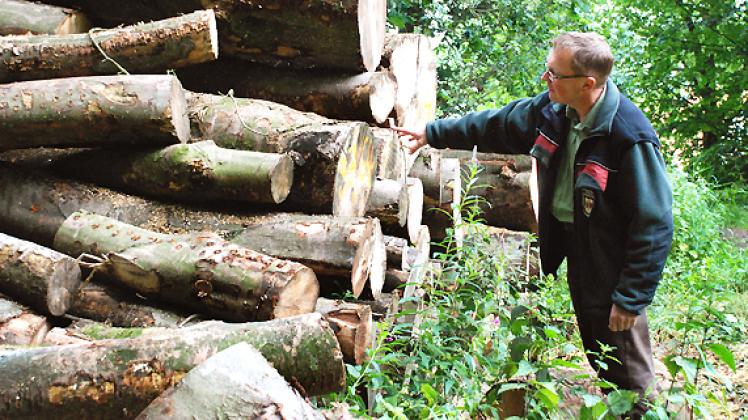 Revierförster Jens-Uwe Springer weiß sehr genau, dass auch Diebe ein Auge auf eingeschlagenes Holz werfen. Foto: W. Pätzold