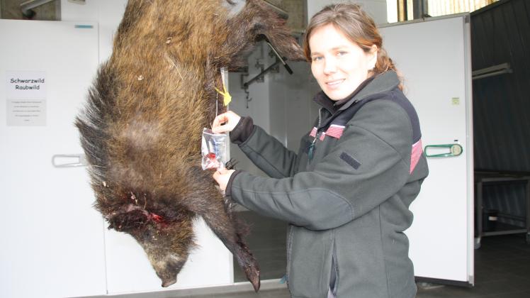 Vor dem Verkauf lässt Angelika Stoll jedes Schwein auf Krankheiten überprüfen. Foto: Torben Hinz