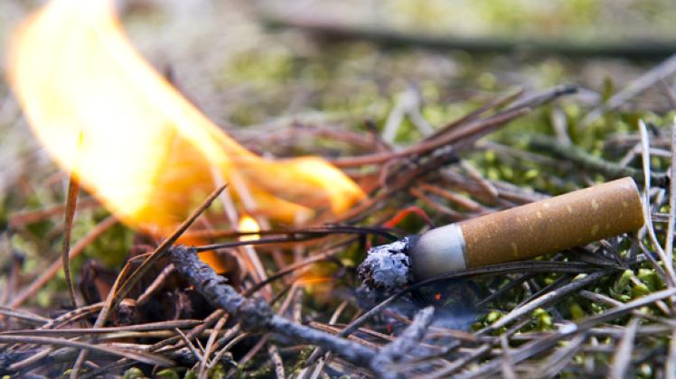 Fahrlässig: Eine noch glühende Zigarette kann derzeit verheerende Waldbrände im Land auslösen, denn die Waldbrandwarnstufe wurde schon wieder heraufgesetzt.dpa