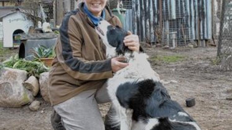 Margit Preiss Mit Jedem Tier Stirbt Auch Ein St ck Von Mir SVZ