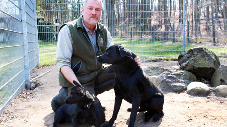 Peter Urban hofft auf die schnelle Vermittlung der Fundhunde. Foto: Wolfried Pätzold
