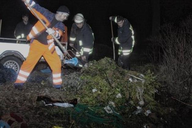 Mit Mistgabeln verladeten Feuerwehrkameraden Cannabispflanzen. Fotos: Thomas Schulz Mit Mistgabeln verladeten Feuerwehrkameraden Cannabispflanzen. Fotos: Thomas Schulz