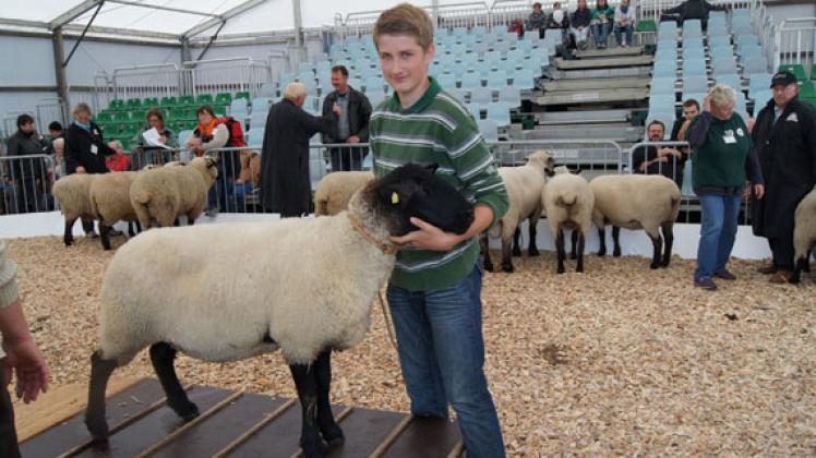 Arne Meyn auf der MELA mit einem seiner Suffolks. Foto: privat