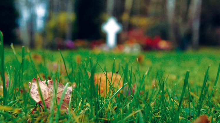 So sieht die anonyme Bestattung aus: Eine Wiese – keine Grabsteine. archiv