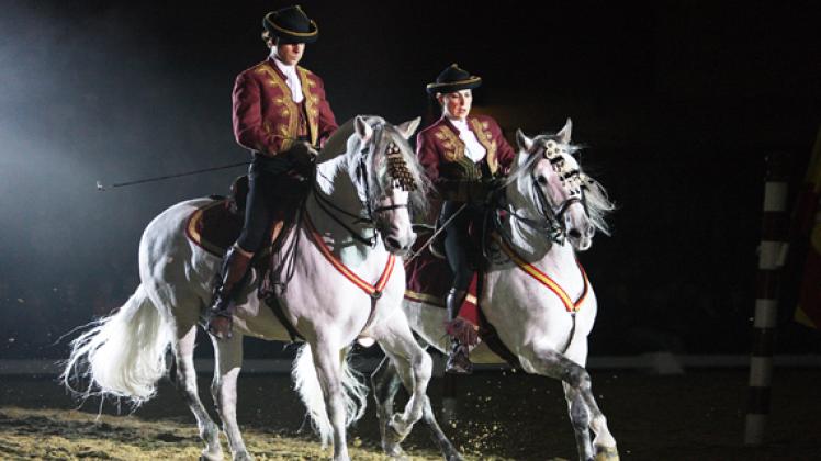 Im Januar zu Gast: „The Royal Horse Gala“ kommt nach Rostock. NNN