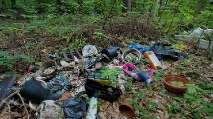 Illegal entsorgter Müll liegt in einem Wald unweit von Chorin (Landkreis Barnim). Immer mehr davon landet im Wald. Foto: dpa