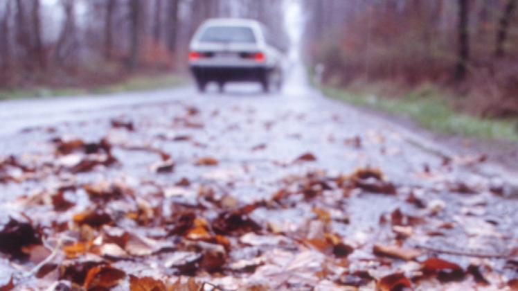 Nasses Laub kann die Fahrbahn sehr rutschig machen. DVR