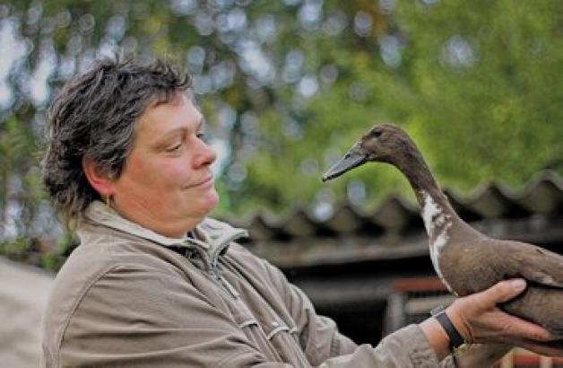 Tierische Partnerschaft: Ente Paula hält die Gemüsebeete von Annelies Mühlichen schneckenfrei. Dana Bethkenhagen