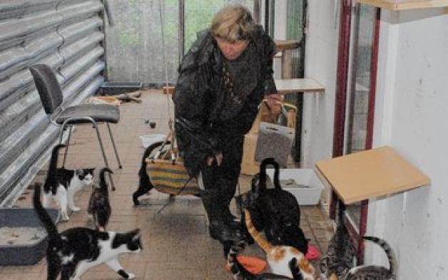 Karin May füttert die Katzen im Heim für Tiere in Hagenow. dihi