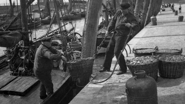„Kamera als Tuschkasten“: So hat Lichtbildner Theodor Möller sein Werkzeug bezeichnet, mit dem er auch diese Szene in Büsum 1936  beim Entladen des Fanges festhielt. 