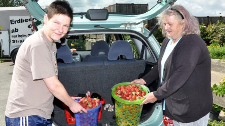 Silvana Danitz (l.) und  Elfi Kliefoth haben gestern Erdbeeren in Stralendorf geerntet. Und wenn die Kirschen  in Stralendorf reif sind, kommen sie garantiert wieder, kündigen die  Frauen an.Pätzold
