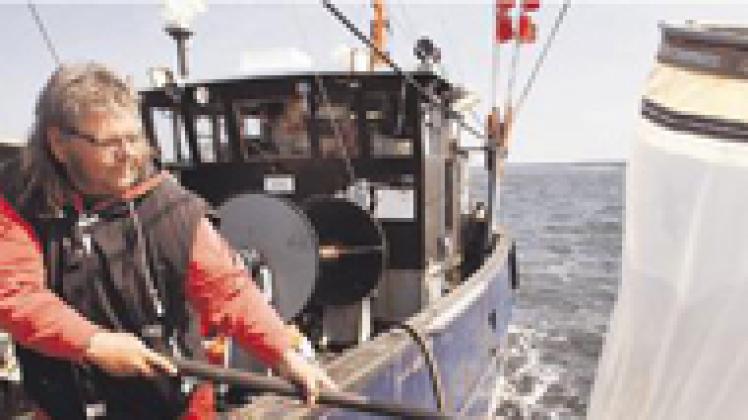 Armin Lass holt  im Greifswalder Bodden  ein Spezialnetz an Bord des Kutters "Clupea". dapd