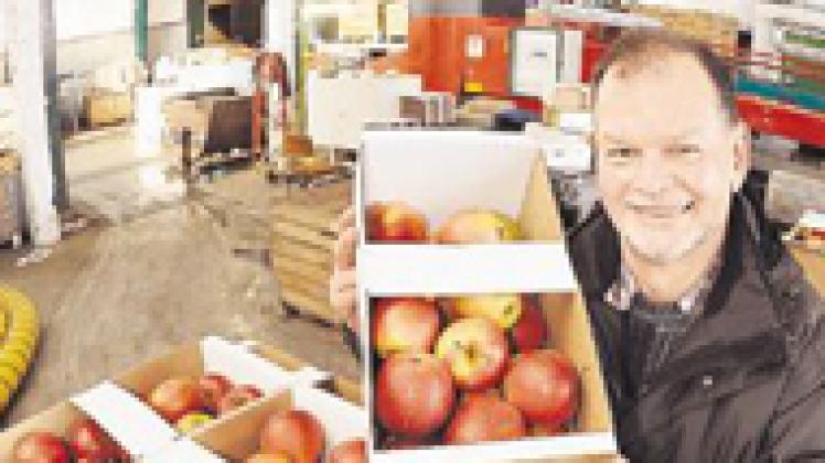 "Es wird ein sehr gutes Apfeljahr" sagt Martin Czechl, Geschäftsführer der Rostocker Obst GmbHGeorg Scharnweber