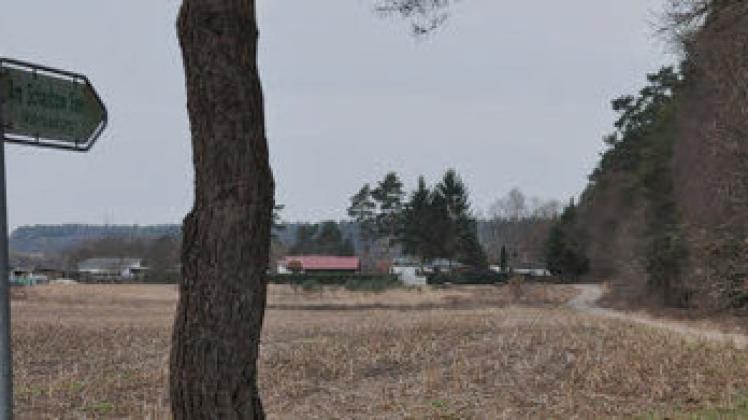 Der Weg von der Kreisstraße zur Bungalow-Siedlung am Scharbowsee steht ganz oben auf der Prioritätenliste der Gemeinde Mustin. In diesem Jahr soll das Flurneuordnungsverfahren erste sichtbare Erfolge bringen.Frank Pubantz Der Weg von der Kreisstraße zur Bungalow-Siedlung am Scharbowsee steht ganz oben auf der Prioritätenliste der Gemeinde Mustin. In diesem Jahr soll das Flurneuordnungsverfahren erste sichtbare Erfolge bringen.Frank Pubantz