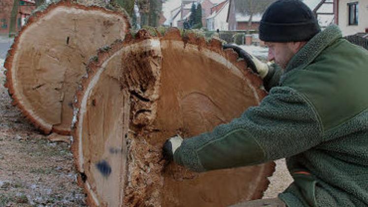 Baumexperte Mario Gurtler hat die Gefahr rechtzeitig erkannt.Wolfried Pätzold