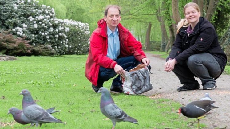 Vorsitzender und Stellvertreterin beim Taubenfüttern in den Graftanlagen: Henning Suhrkamp und Nele Volberg kommt es auf die artgerechte Versorgung an. Vorsitzender und Stellvertreterin beim Taubenfüttern in den Graftanlagen: Henning Suhrkamp und Nele Volberg kommt es auf die artgerechte Versorgung an.