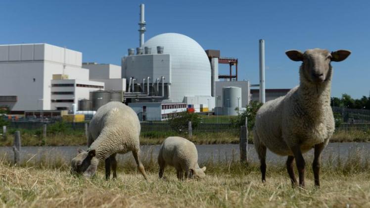 Einziger aktiver Atommeiler in Schleswig-Holstein: Der 1410-Megawatt-Reaktor Brokdorf an der Elbe.