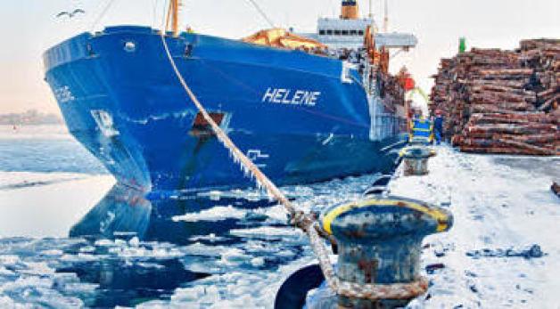Holzumschlag: Im Fischerei- und Frachthafen hat die "Helene" festgemacht.georg scharnweber