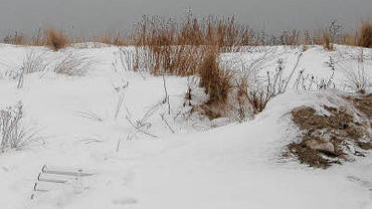 Unter dem Schnee versteckt: Die Dünen entlang der Warnemünder Promenade tragen ein Winterkleid. Doch bereits in  vier Wochen kommt die Raupe und schiebt zwei Dünen ab.Sabine Schubert
