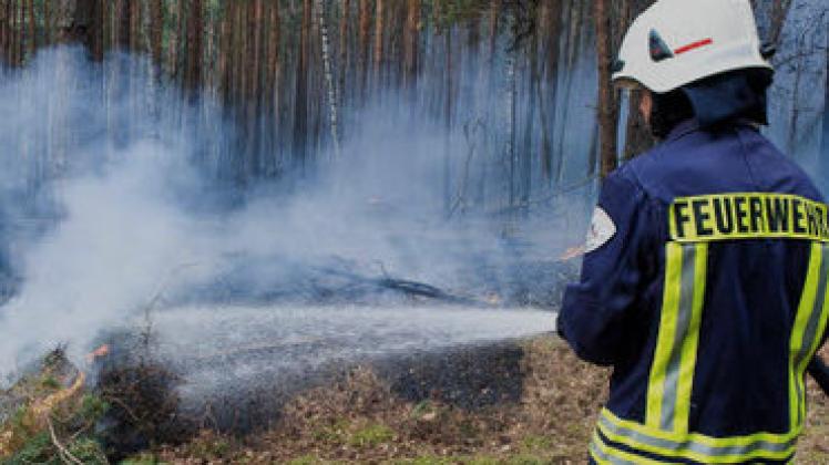 Feuerwehrleute bekämpfen mit Wasser einen Waldbrand.dpa
