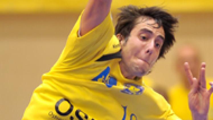 springer.jpg springer.jpg