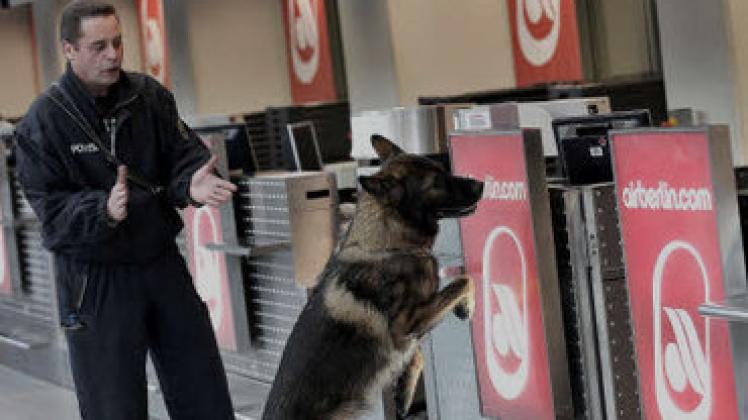 Schnüffeln im Akkord: Auf den Flughäfen geht die Polizei  mit Spürhunden auf Streife und sucht nach Sprengstoff.
