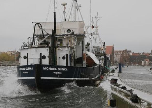 Das sehr seetüchtüge Tauch-und Angelschiff "Michael Glinka" hatte zuvor allen Stürmen im Wismarer Hafen getrotzt. Jetzt wurde ihm wahrscheinlich der Eisdruck zum Verhängnis.Zeigert
