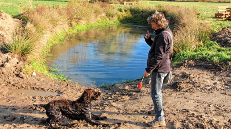 Baden erlaubt: An den angelegten Teichen ist für die Hunde jederzeit eine kleine Erfrischung  möglich. Heike Torkler übt mit  Lando das Apportieren im Wasser. Michaela Kleinsorge