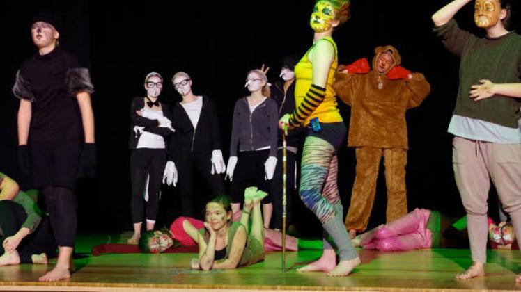 Das Dschungelbuch hat so viele Rollen zu bieten, dass auch alle Tänzer des Lysistrate-Junior-Ensembles zum Zuge kommen.  Fotos: privat 