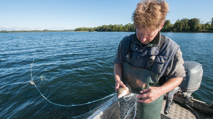 Fischzucht von Aal bis Zander