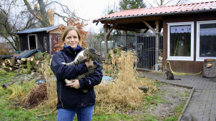 Ines Becker freut sich, dass der Ast  vom Katzenhaus entfernt ist und die Gefahr gebannt ist.  Fotos: Nadine Schuldt (2)  