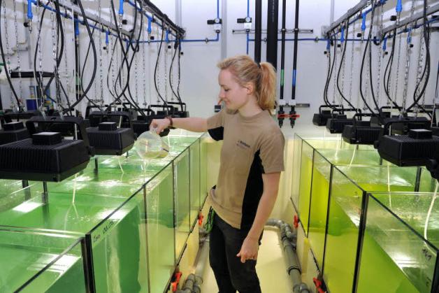 Hinter den Kulissen: Pflegerin Jana Wohlfahrt überwacht die Wasseraufbereitung. Hinter den Kulissen: Pflegerin Jana Wohlfahrt überwacht die Wasseraufbereitung.